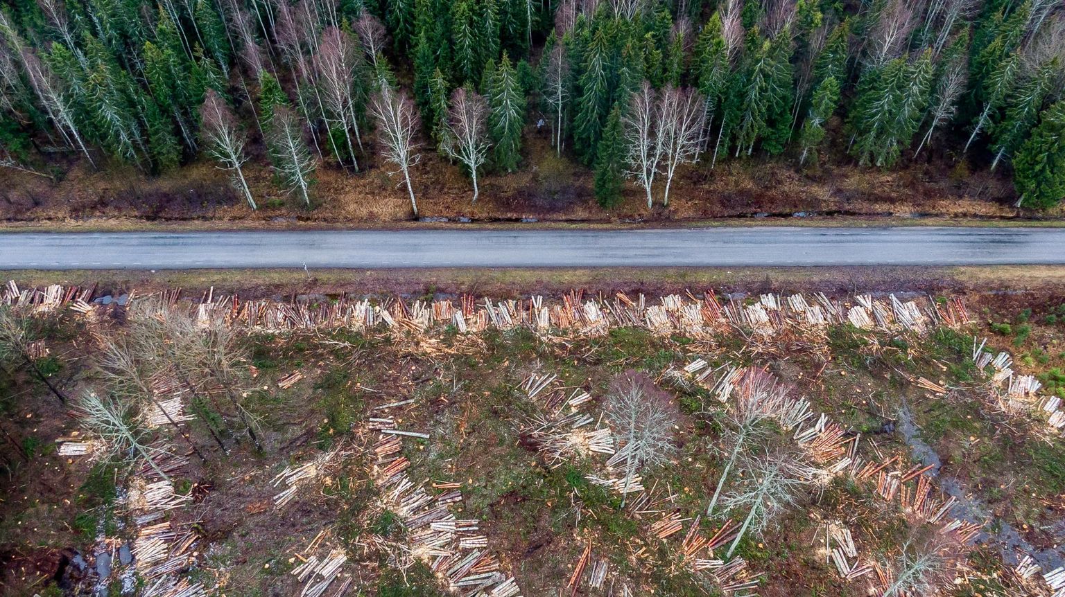 Metsa alusandmete avalikustamine annab teadlastele võimaluse teha võrdlevaid analüüse, kui palju võib Eestis metsa raiuda, et metsatagavara ei väheneks. 
