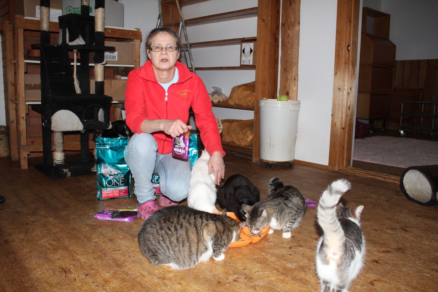 Sirje Mihkelson pakub praegu hoiukodu ligi 40 kassile.
