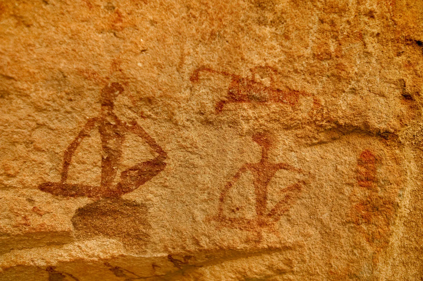 Koopajoonistus