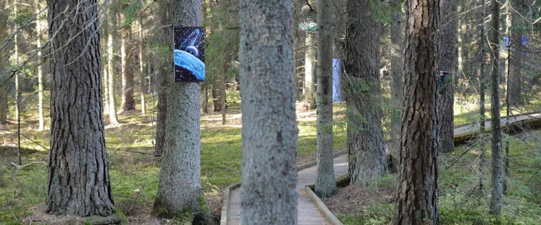 Näitus Põlvamaa metsas.