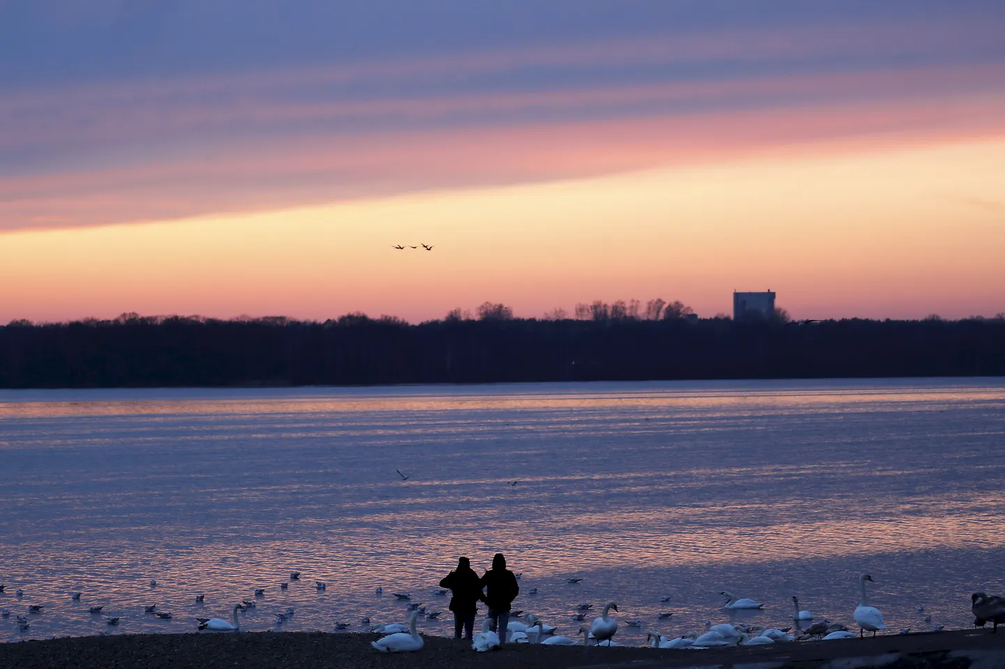 Jalutajad Daugava jõe kaldal.