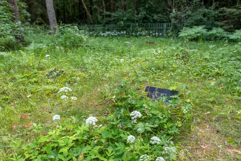 Lokkava roheluse seest hauatähiste leidmine oli keerukas.