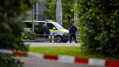 Šveitsis tappis alasti mees pargis sörkinud naise