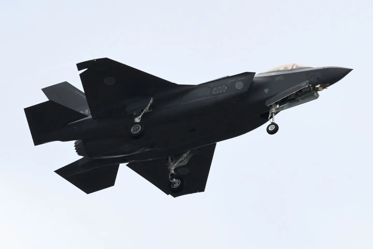 Varghävitaja F-35.