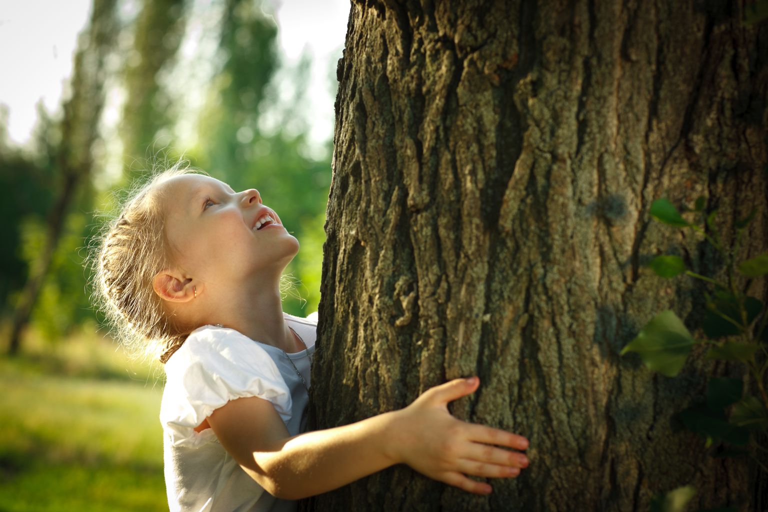 Väike tüdruk kallistamas puud. Pilt on illustreeriv