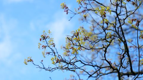 Температура воздуха до +15 градусов: прогноз погоды на следующую неделю