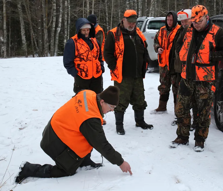 Hundijahist sai sedapuhku hoopis metsseajaht. Värska jahtkonna liige Raivo Kunst joonistab jahimeestele lumel plaani, kuidas metsseakari ümber piirata ja püssitorude ette ajada.