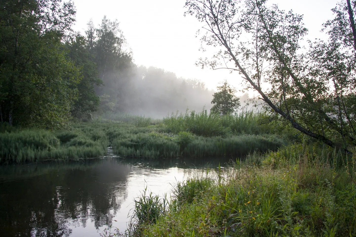 Võrumaa, Osula küla. Ülemjooksul kannab Võhandu jõgi ammusest ajast nime Pühajõgi. Siin lähedal hakkas Sõmerpalu mõisnik Hans Ohm 1640. aastal Harjumäe alla Pühajõele veskit ehitama. Järgnes kahel aastal suur viljakaldus. Inimesed arvasid, et põhjuseks on Pühajõe voolu takistamine. Ühel ööl kogunesid talupojad kokku ja lõhkusid veski maha. Uskumuse kohaselt elab Pühajões Pikne, seepärast ei tohtivat jõge narrida.