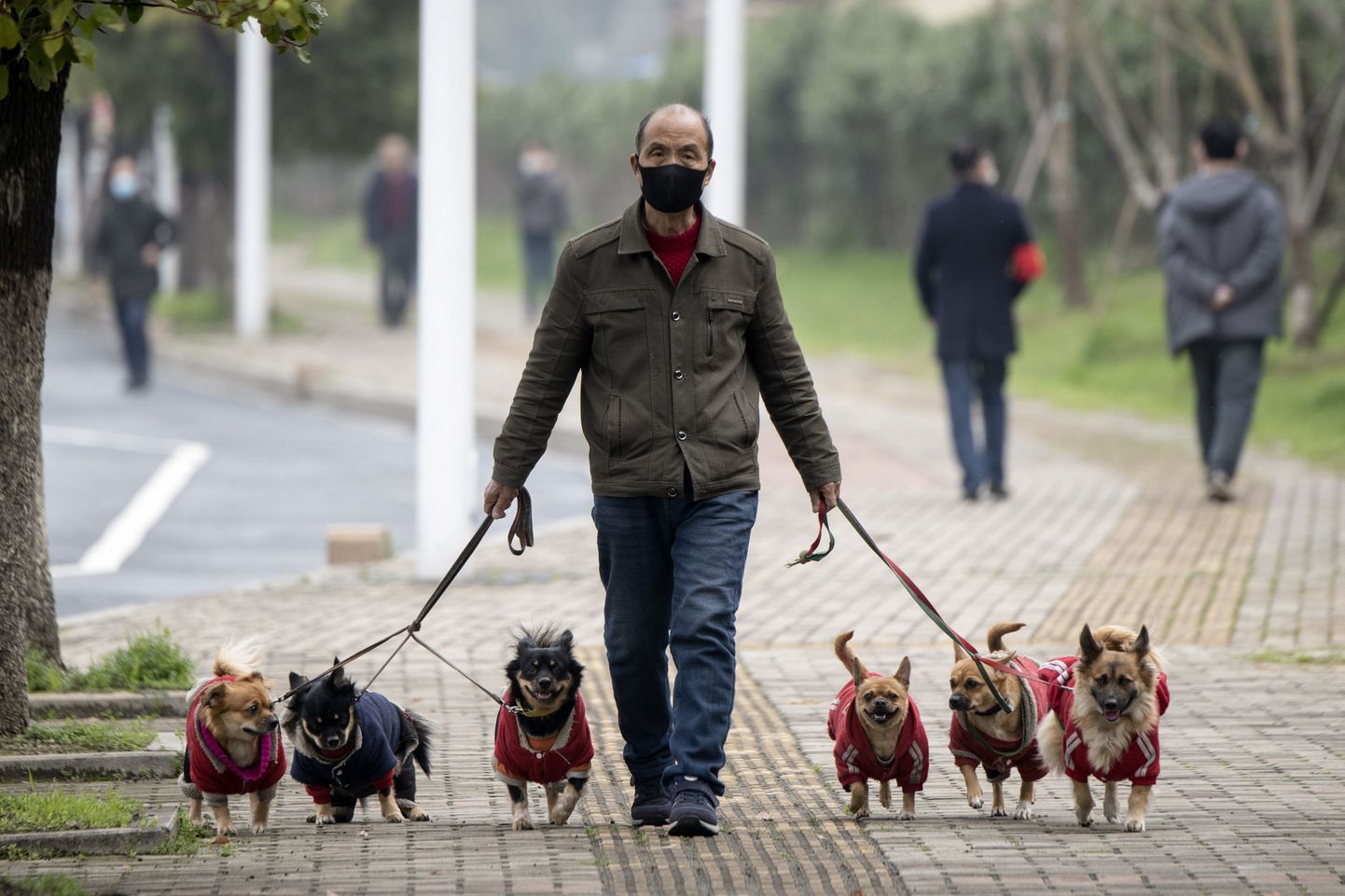 Hiinlane koertega jalutamas.