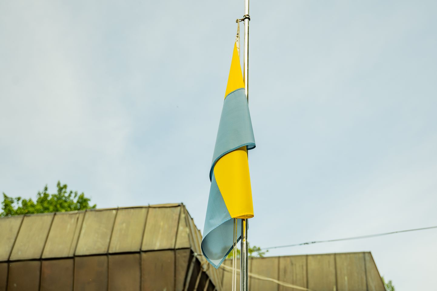 Narvas karogs