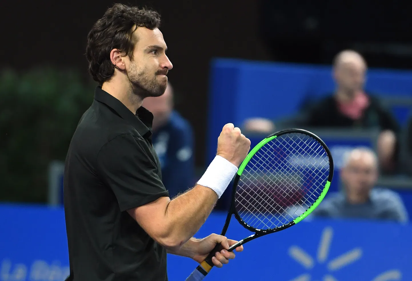 Ernests Gulbis