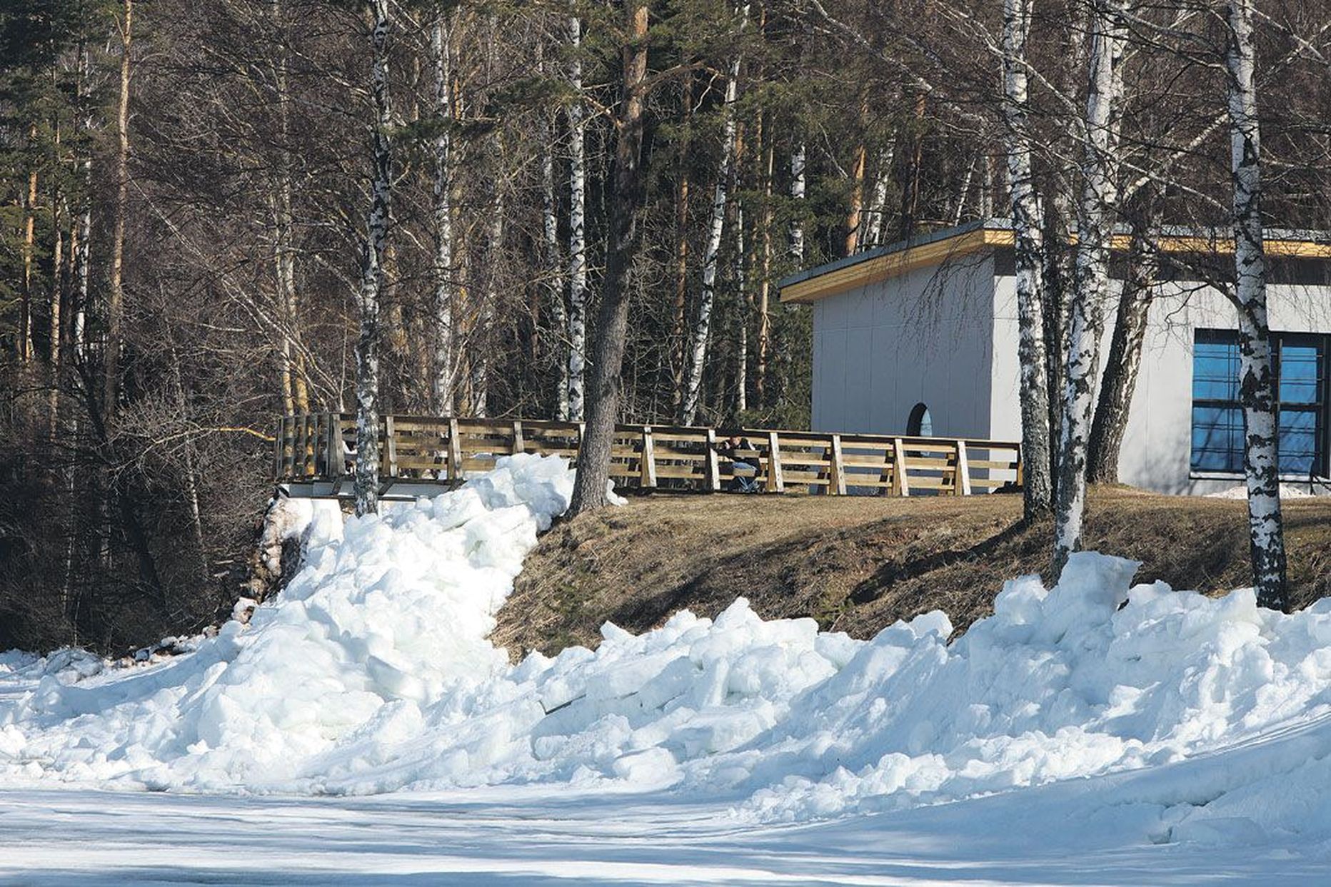 Eesti Maaülikooli limnoloogiakeskuse alla kuhjunud jää nihutas paigast järvemuuseumi terrassi.