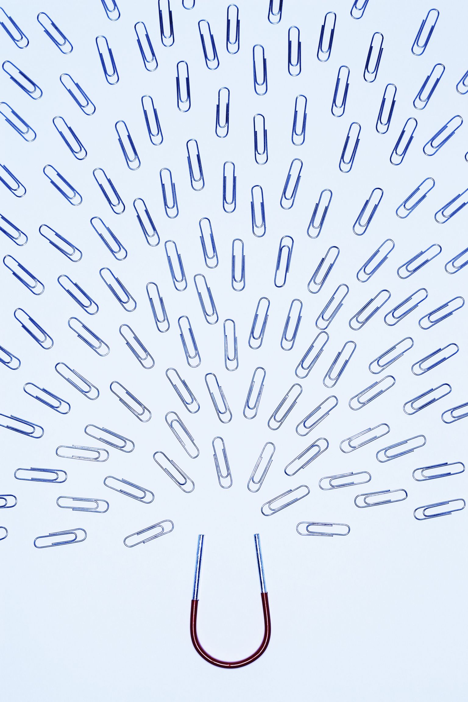 Horseshoe magnet attracting pattern of paperclips, in studio Royalty free: For comercial usage price on demand