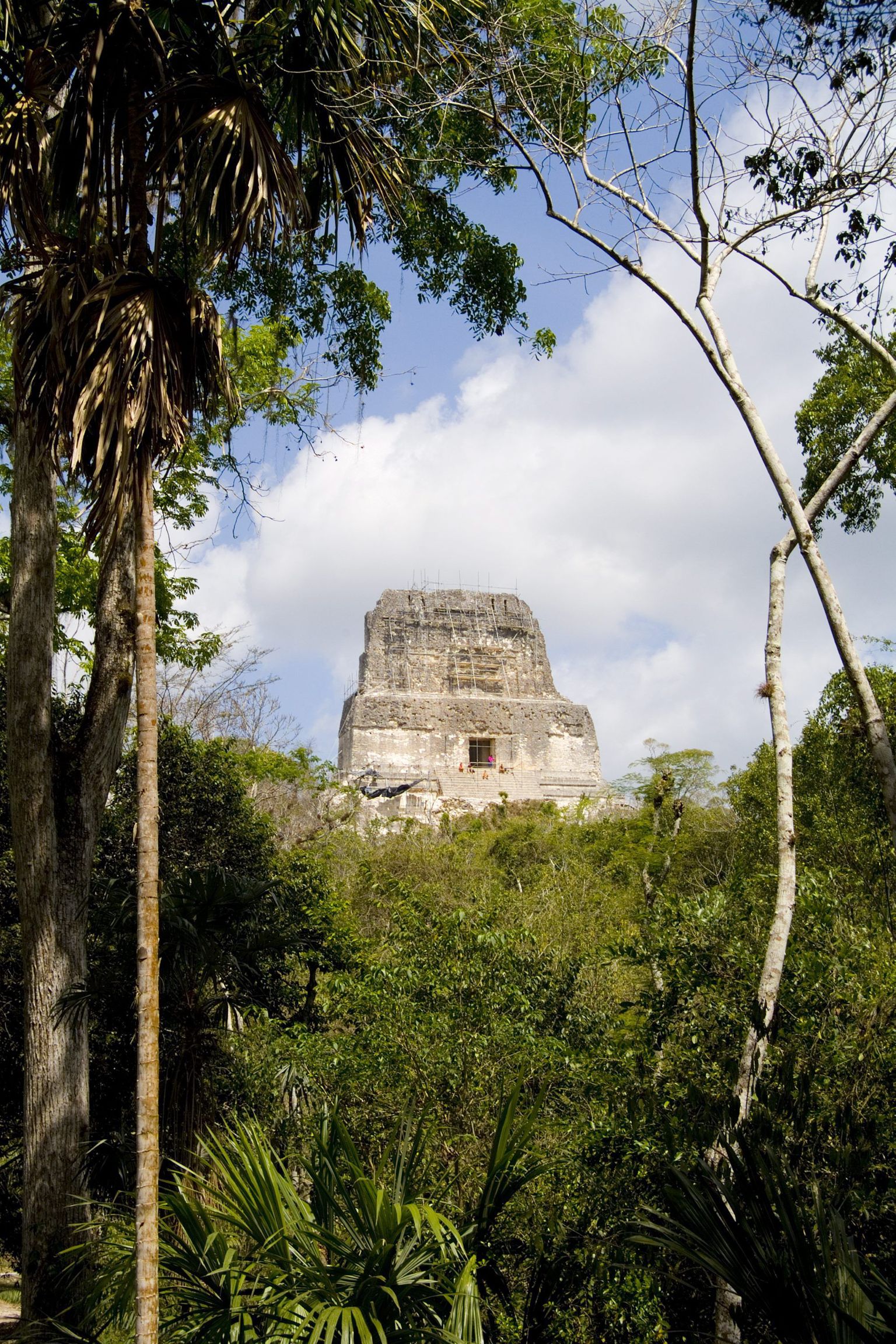 Maiade templi varemed Tikalis Guatemalas.