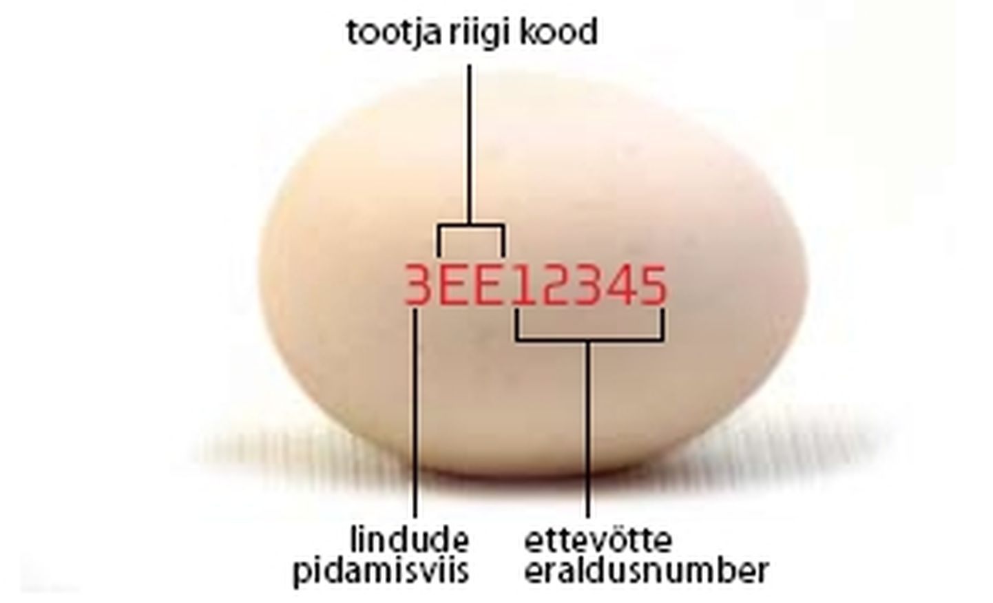 Ettevaatlik tasub olla munadega, mis on märgistatud tootekoodidega 3EE16710 ja 2EE31531. Tootekood on leitav
munakoorelt.