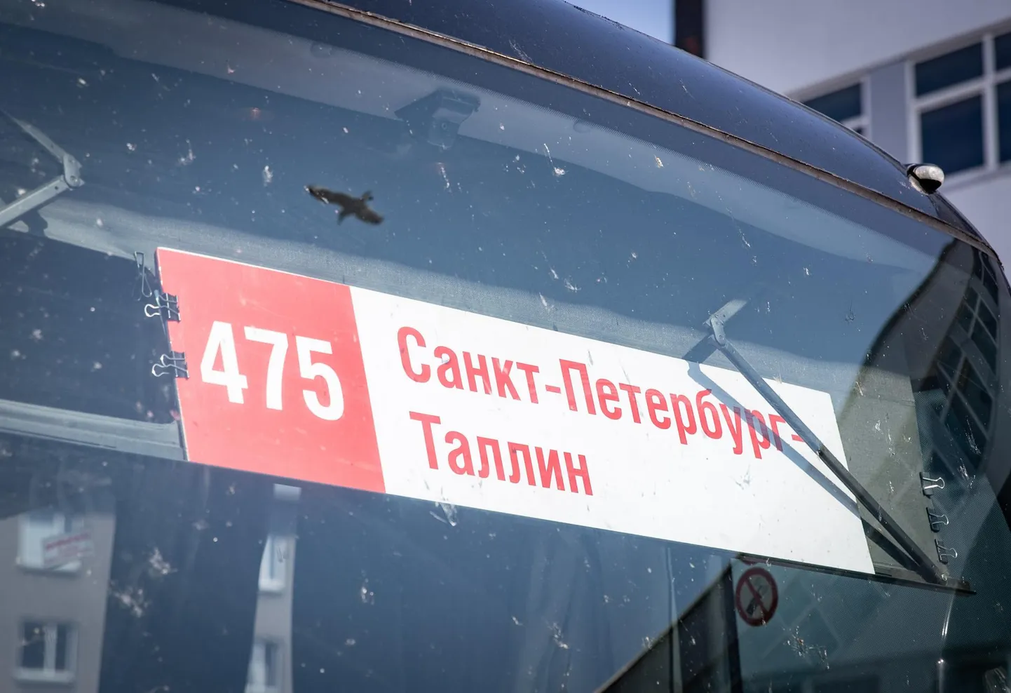 Postimees käis reede lõunal Tallinna bussijaamas Peterburi bussil vastas ning uuris, mis plaanid Vene kodanikel Eestis on.