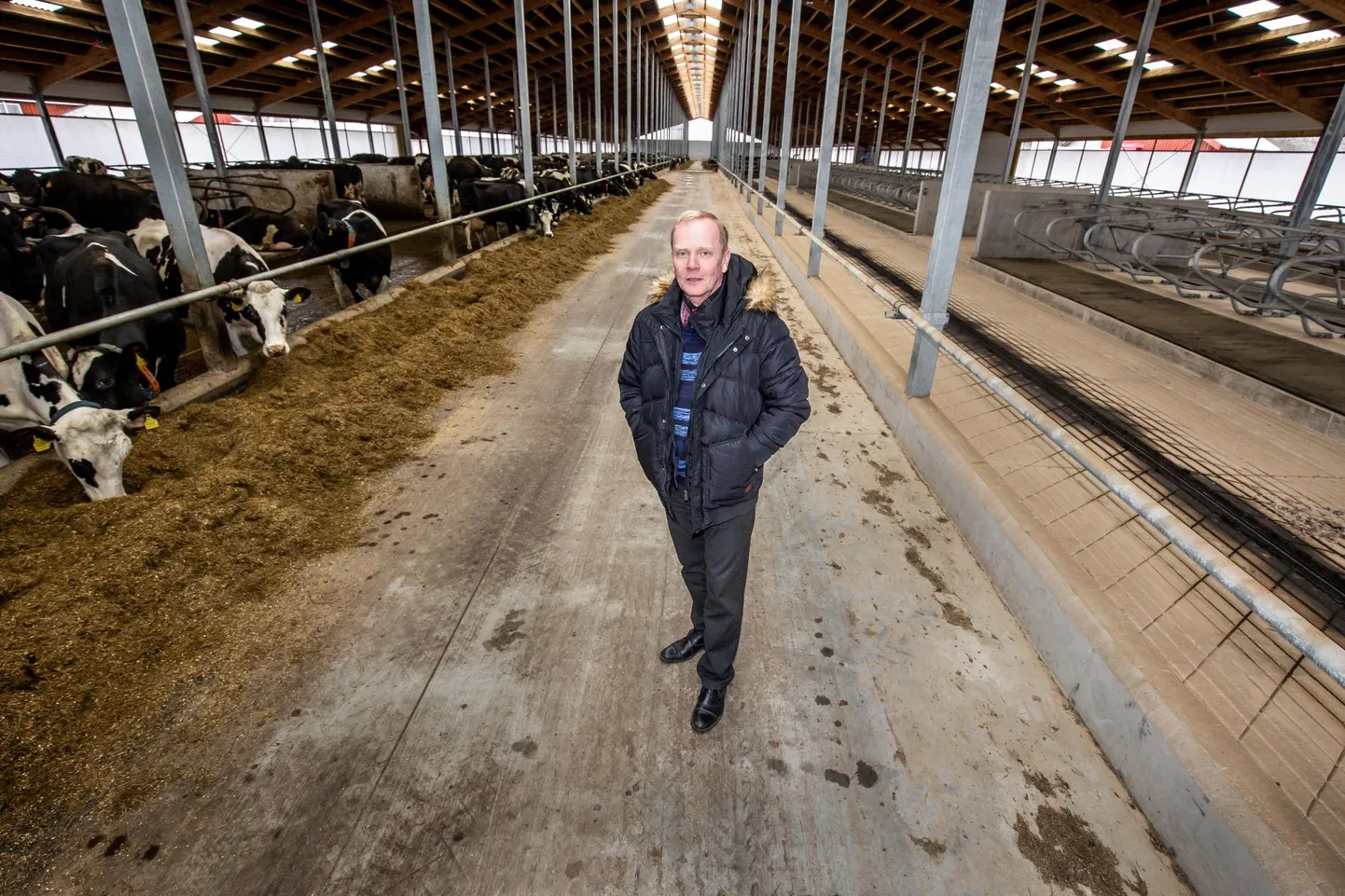 „Praeguse piimahinnaga annab majandada küll, aga ei tohi ka üle investeerima hakata, milleks võib ahvatlus headel aegadel kohati üsna suur olla,” leiab Ahti Kukk.