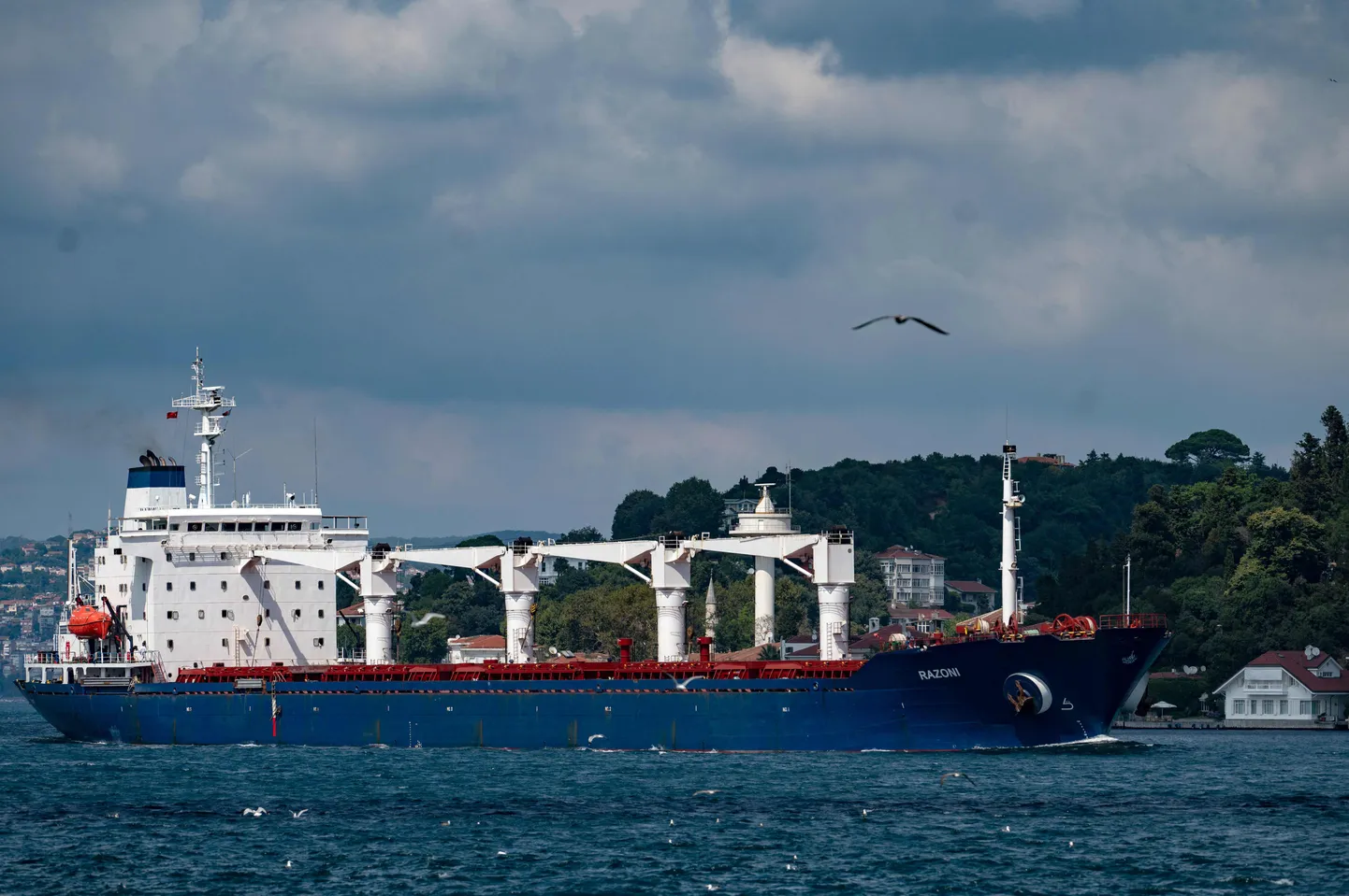 Sierra Leone lipu all sõitev Razoni 3. augustil Bosphoruse väinas.