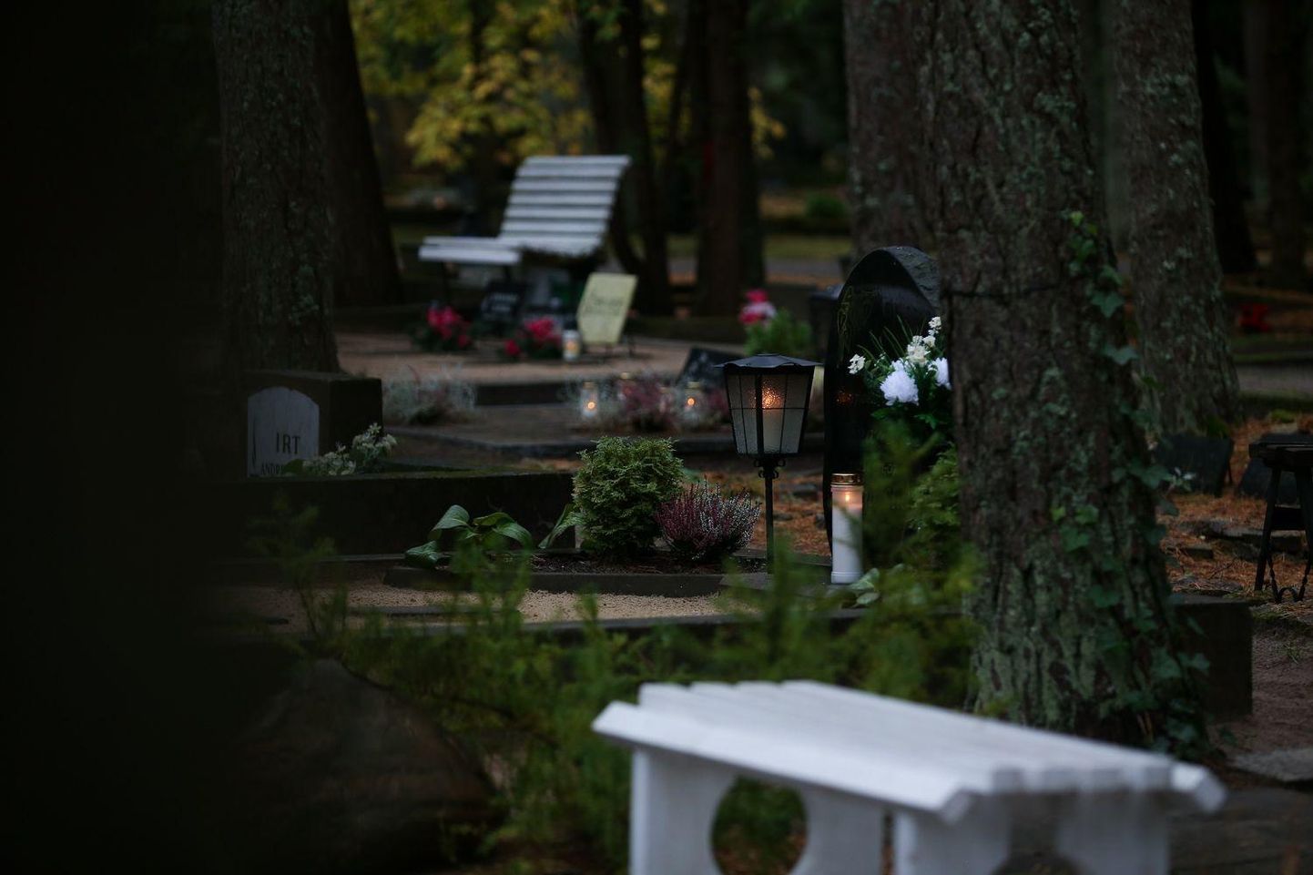 Pärnus Alevi kalmistul haihtus istepink.  