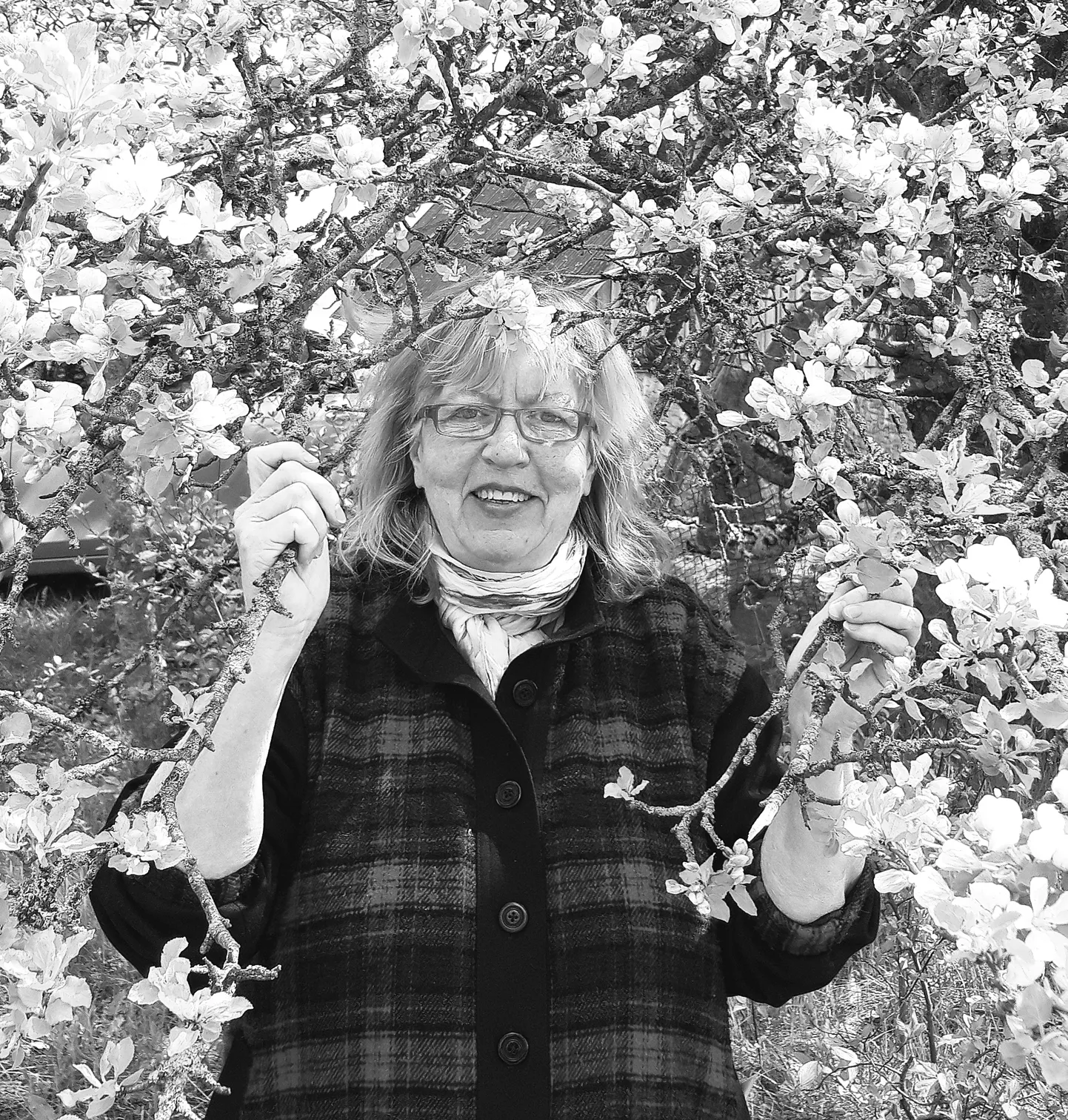 Merike Meriloo