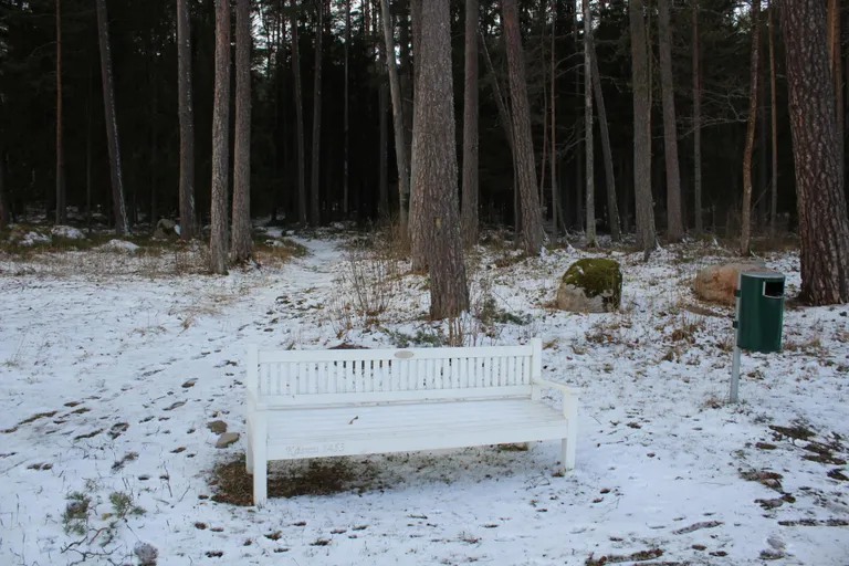 Kalev Kase kinnistu kohta on juba koostatud detailplaneering, aga kuna see on nüüd metsaelupaik, maja sinna ehitada ei tohi.