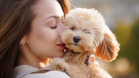 Lemmikloomapäev: kuidas muuta oma karja söögiaeg eriliseks