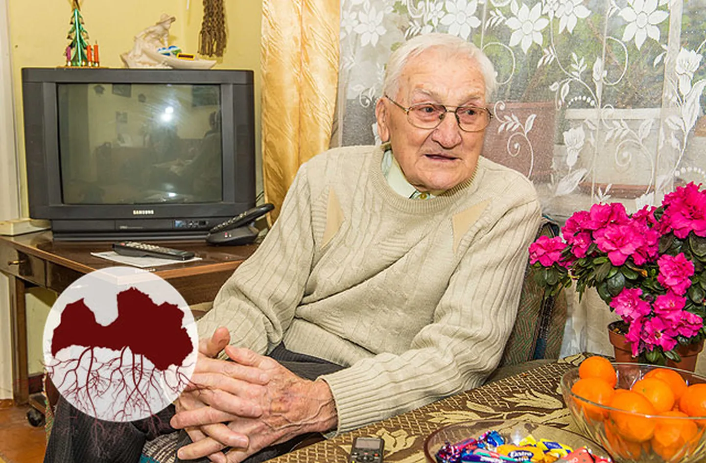 Raksta foto
