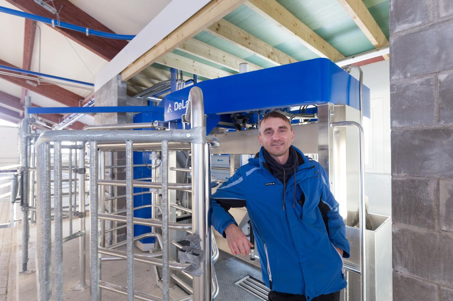 Karmo Männik rajas 2018. aastal lehmadele robotitega lauda. Vahepeal sattus ta ülimadalale langenud piima hinna tõttu raskustesse, aga nüüd on seis taas parem.