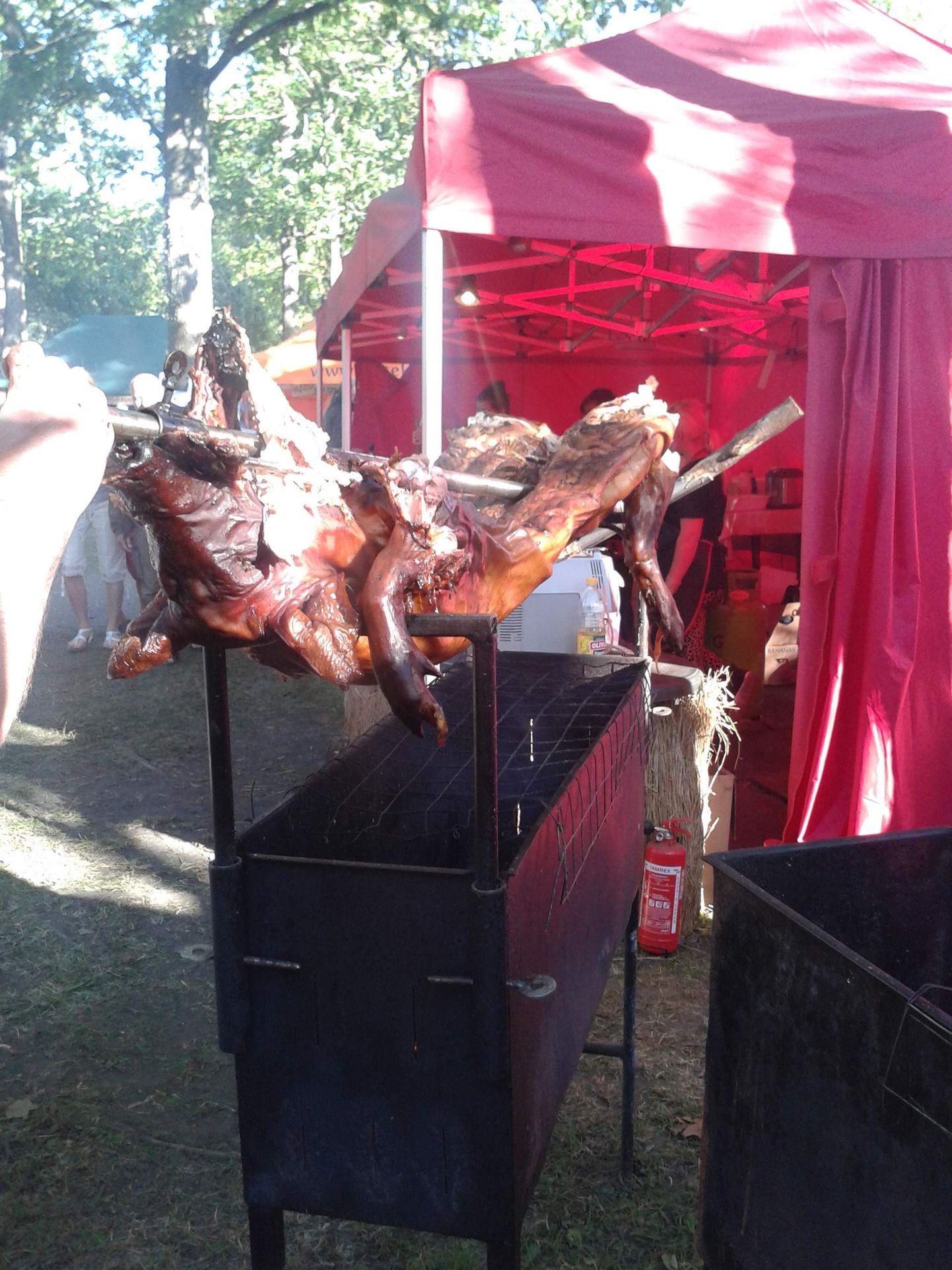 Liiga suur siga ei tahtnud grillile ära mahtuda.