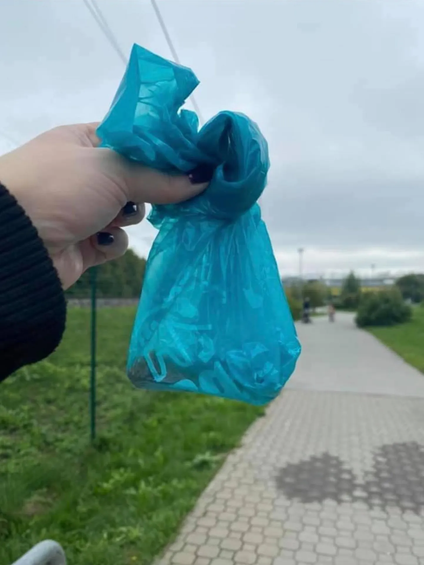 Naine leidis muru seest kanaliha, mis oli nõelu täis topitud.