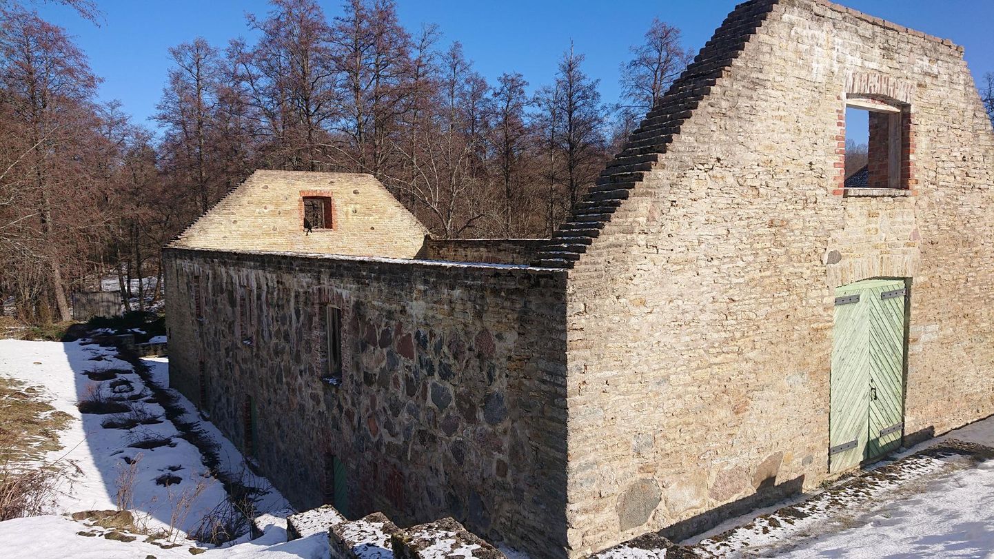 Margus Reinsalu konserveeris veskihoone varemed ja ehitas ühe varisenud seina taas üles.