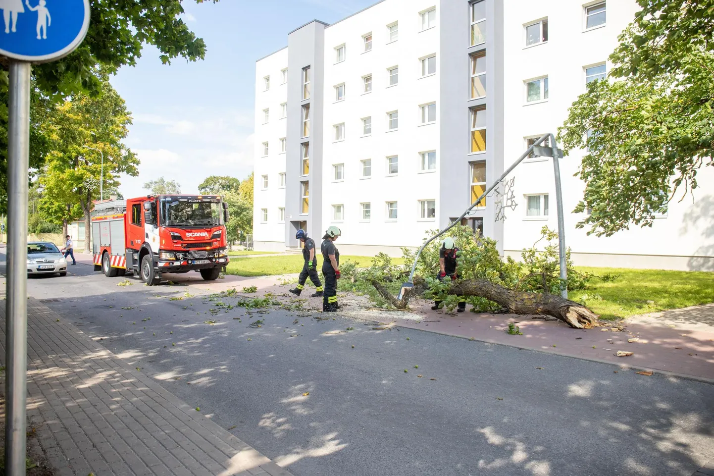 Maha langenud kastanioks tegi kahju ka tänavavalgustuslaternale.