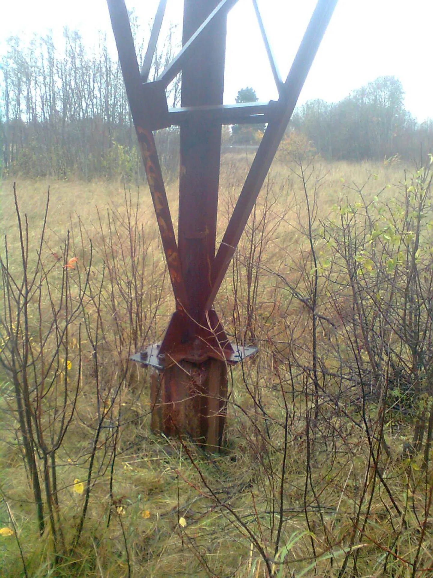 Metallivargus Kehra raudteeülesõidu juures.