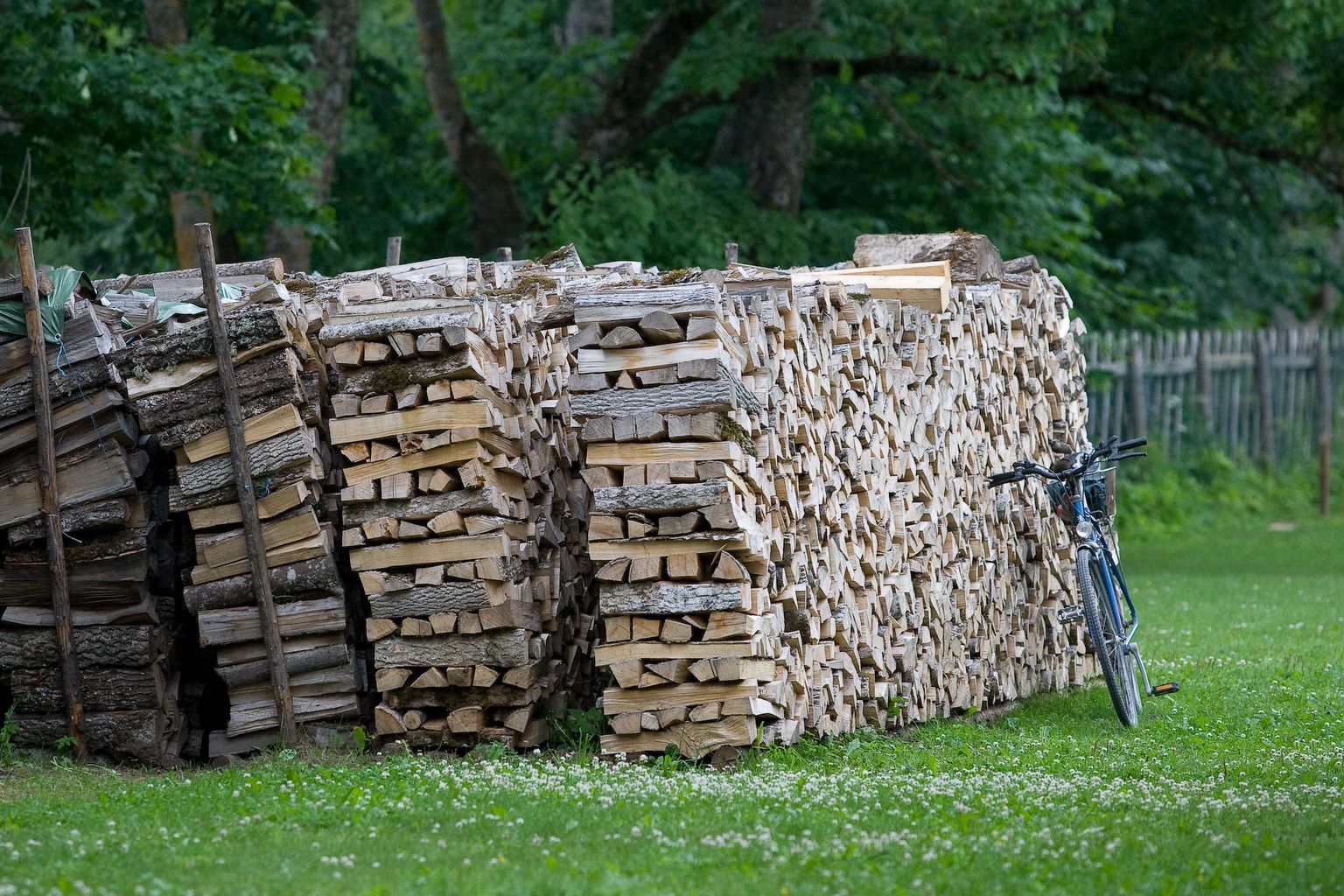 Несколько теплых зим подряд помогли сэкономить дрова. Нынешняя зима, которая не уходит, хотя на дворе уже апрель, истощила запасы.