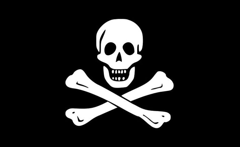 Piraadikapten Samuel Bellamy kasutas sellist piraadilippu