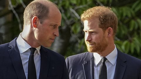 Kuningas Charlesil on suur unistus, mille saavad täide viia vaid William ja Harry