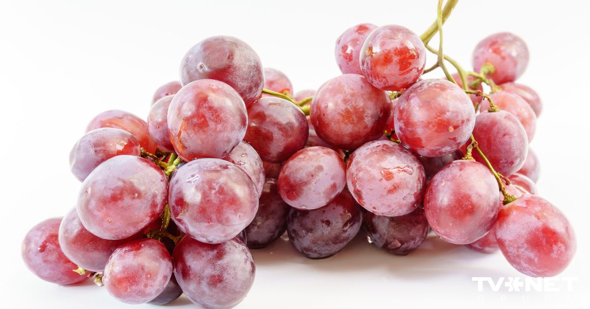 A bunch for 12,000 dollars. What makes the most expensive grapes in the world so special