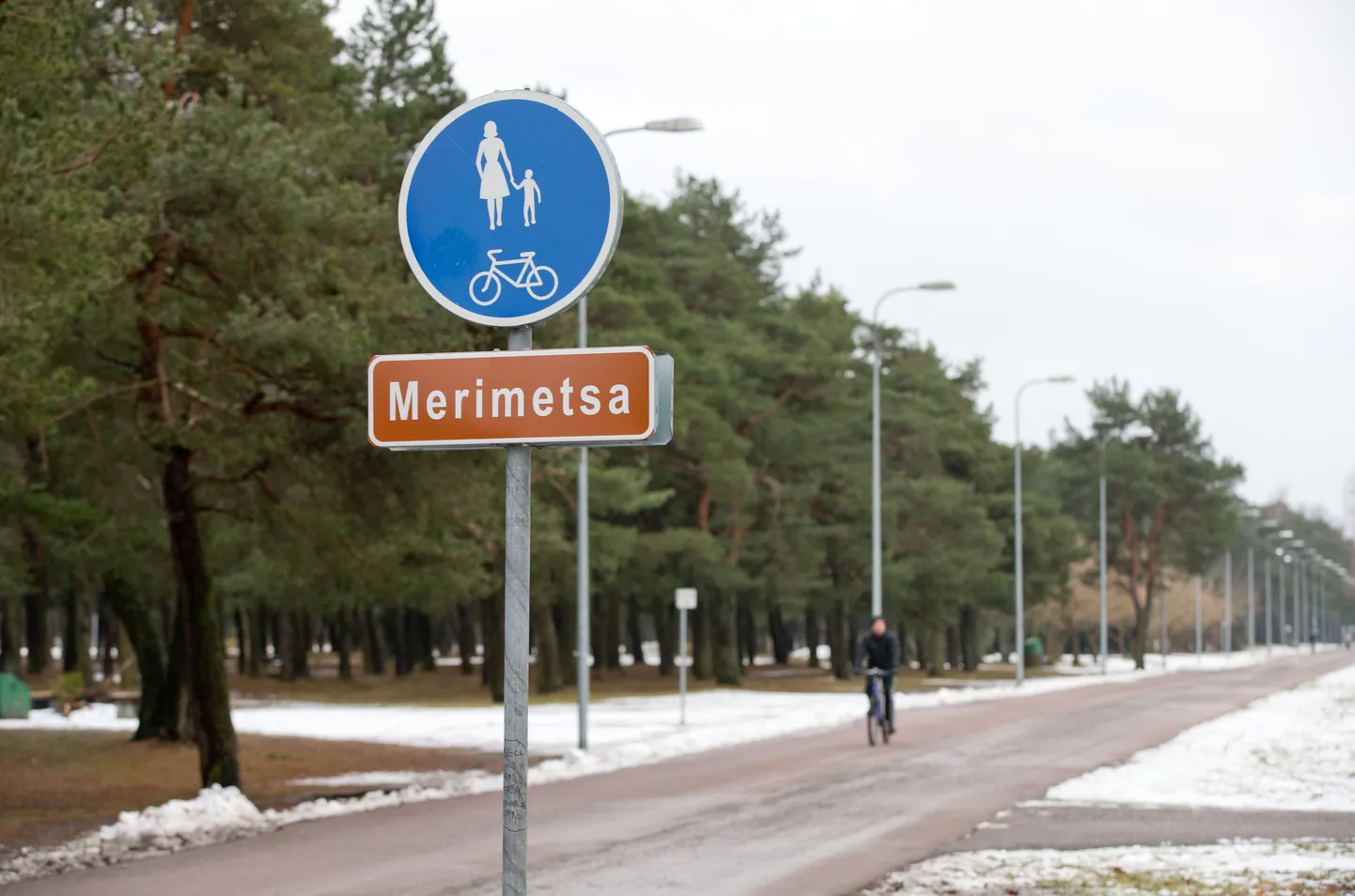 Merimetsa mets. Fotol oleval asfaltkattega teel on lapsevankrid lubatud