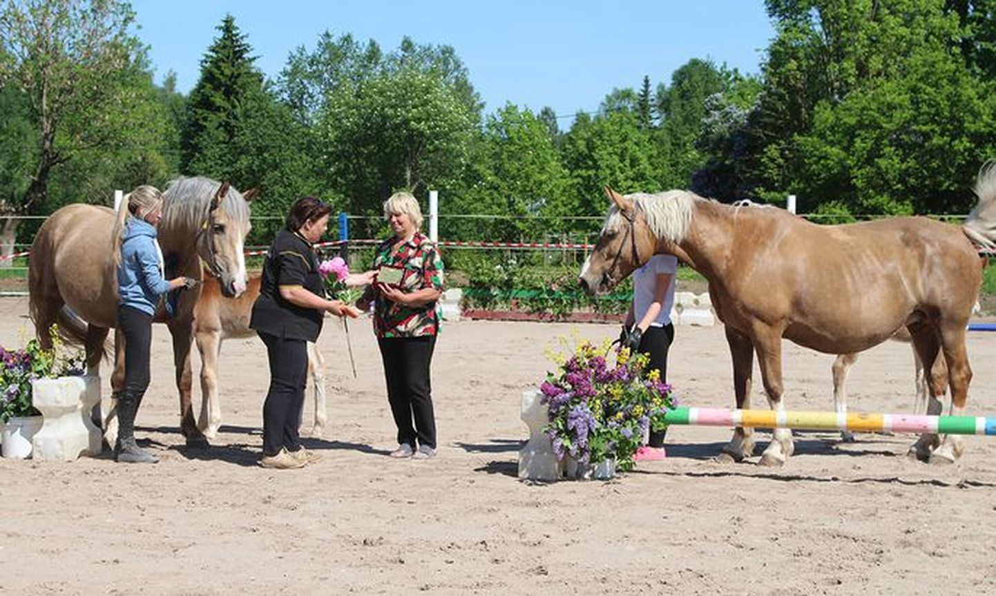 Maie Kukk sai sel kevadel Eesti hobusekasvatajate seltsi auliikme staatuse.