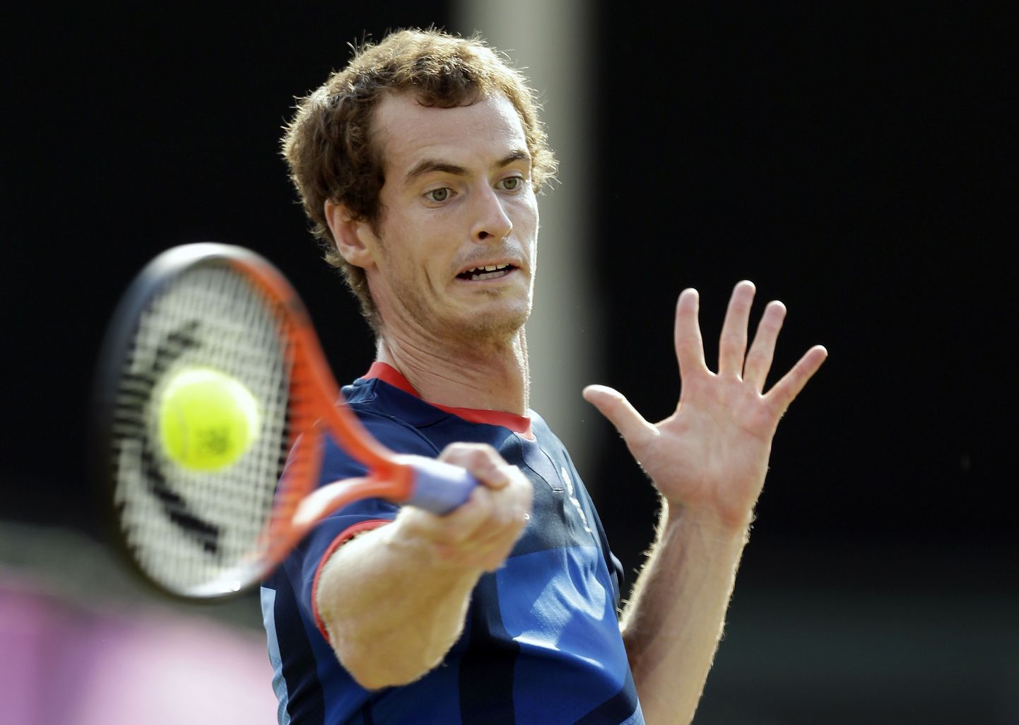 Brittide suurlootus tennises Andy Murray.