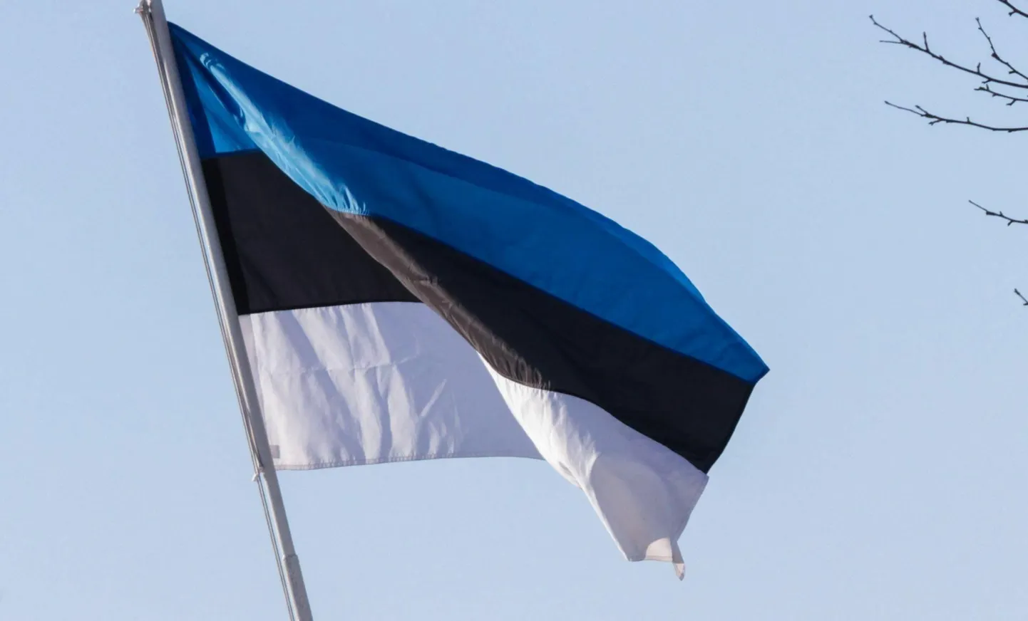 Emakeelepäeval heiskavad Eesti lipu kõik riigi- ja omavalitsusasutused ja avalik-õiguslikud juriidilised isikud. Eesti lippu on oodatud heiskama ka kõik teised.​