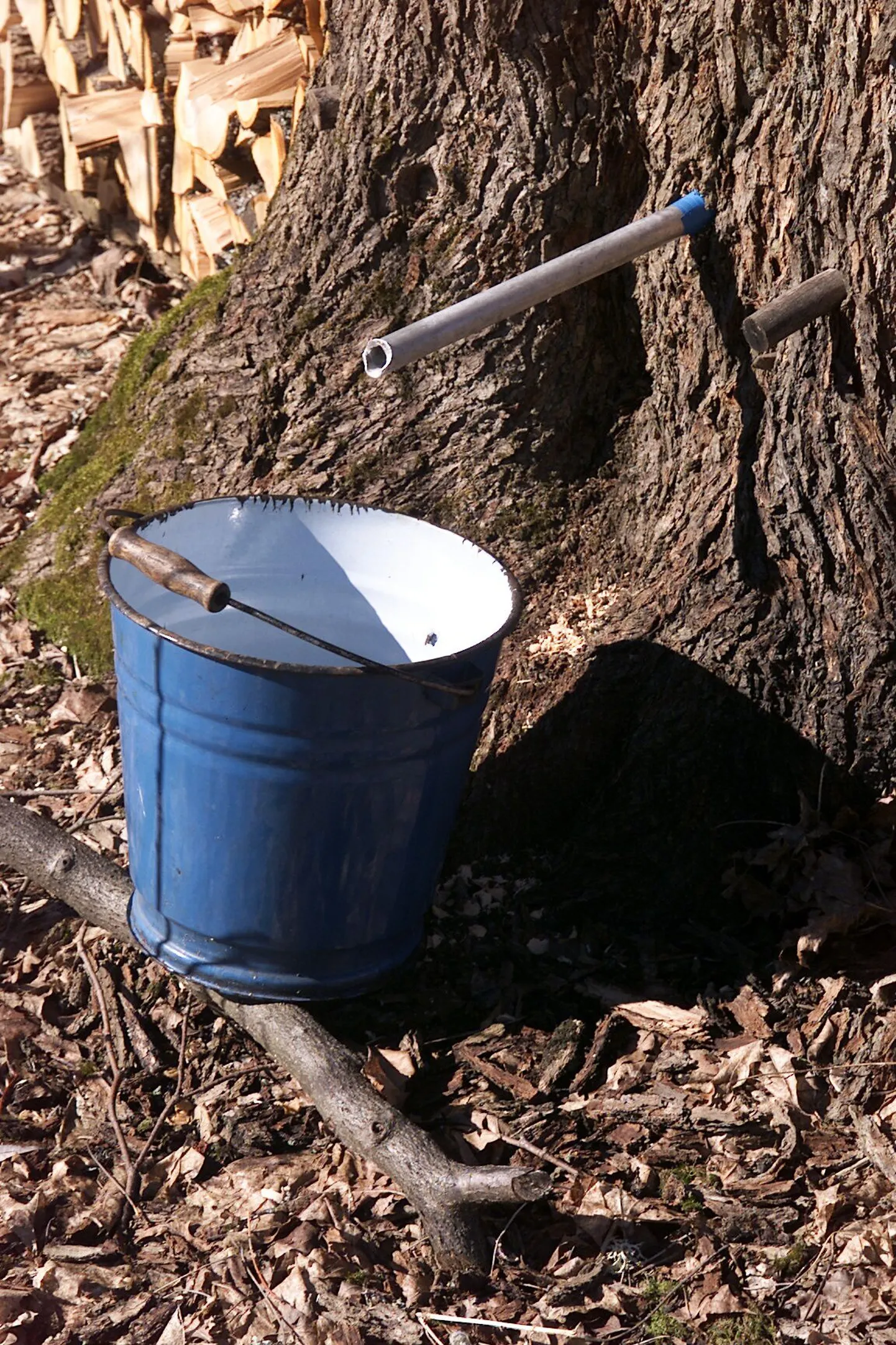 Vahtramahla võtmine.