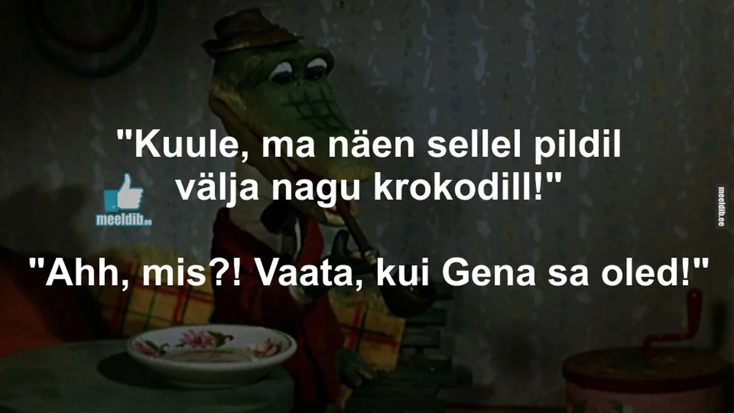 Artikli foto