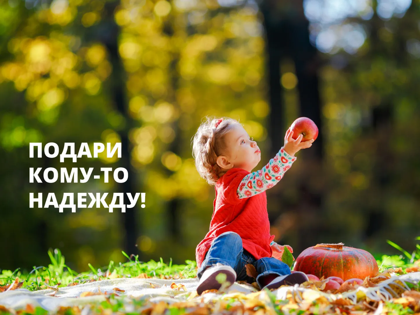 Фото статьи