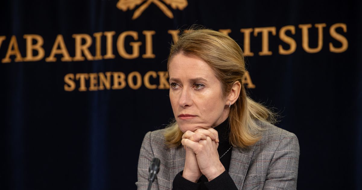 Kaja Kallas: mingit koalitsioonivahetust ei tule (33)