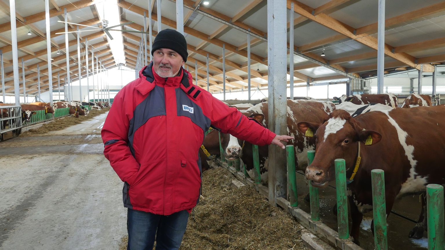 Maakonna suurim piimatootja Tõnu Post ütles, et temagi kaalub võimalusel karja suurendamist.