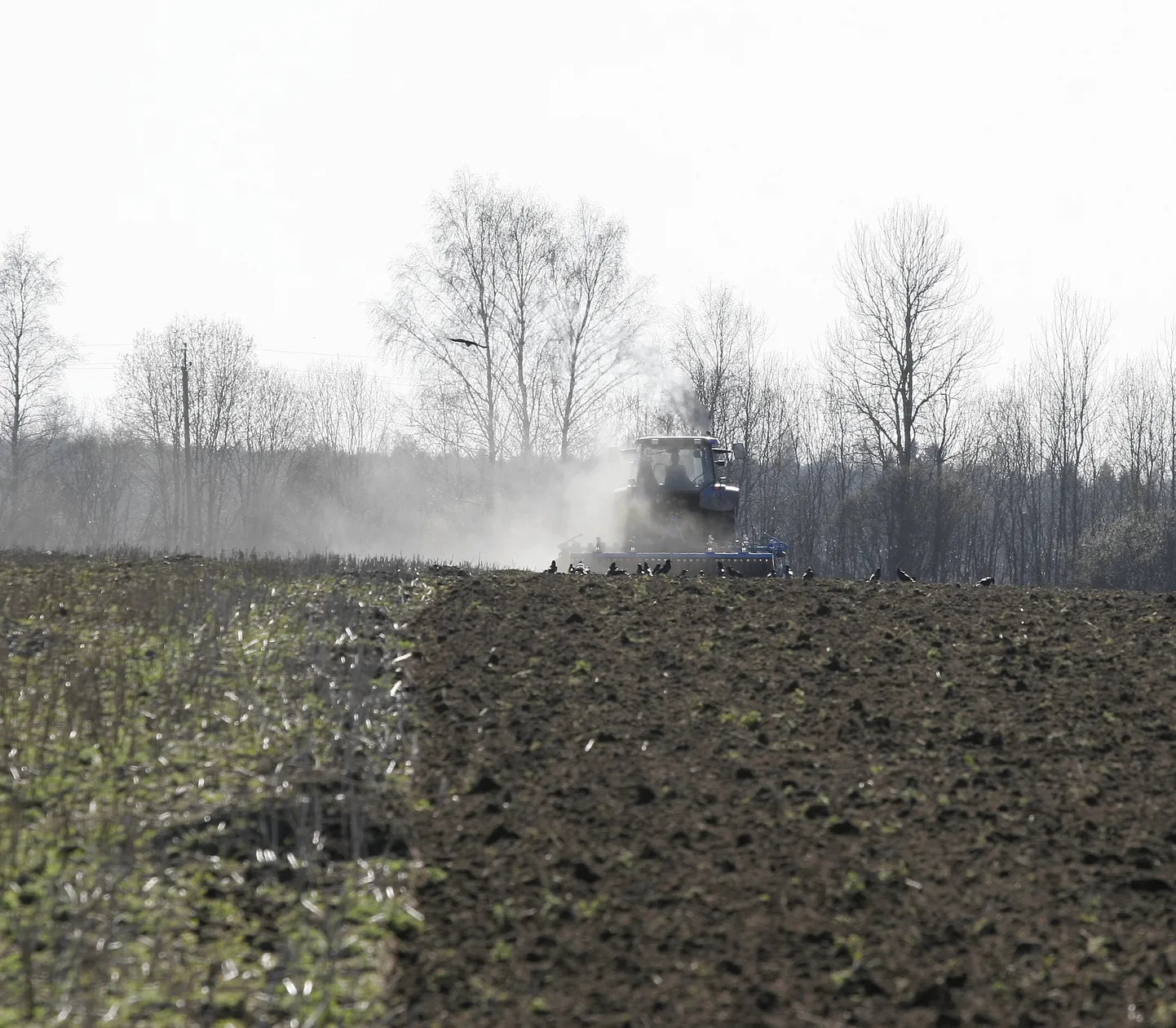 Kõige aktiivsem oli haritava maa turg möödunud aastal Lääne-Virumaal, kus tehti 163 tehingut. Viljandimaal oli tehinguid 106.