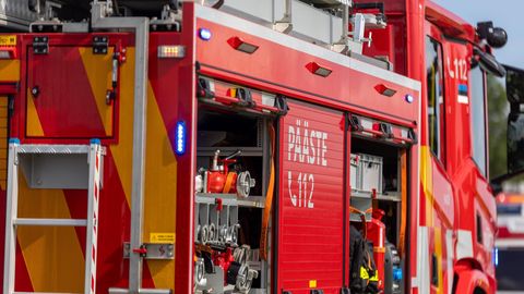 Auto sõitis maanteele kukkunud puu otsa
