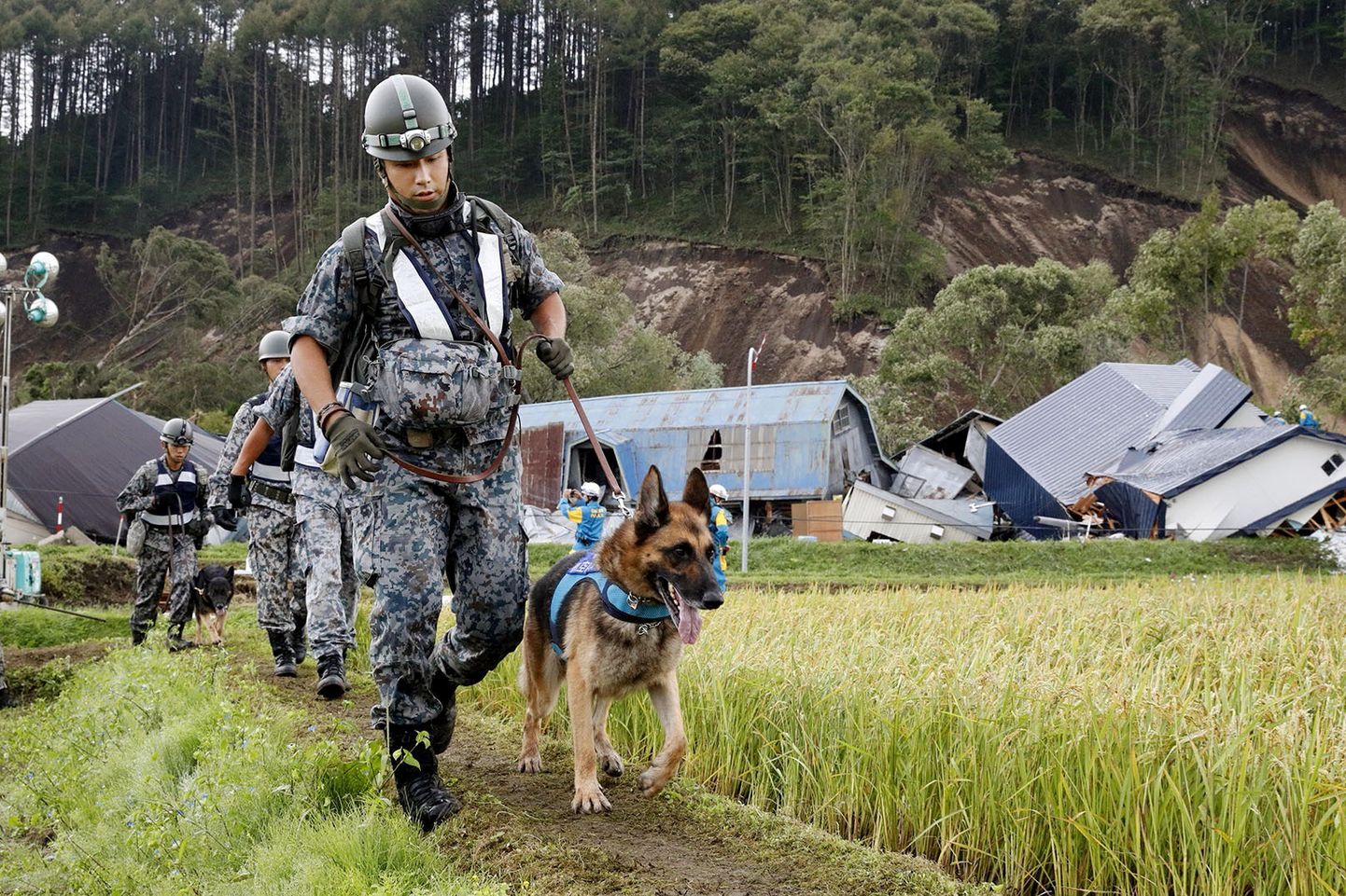 Abitöötajad otsivad koertega äsjases Jaapani maavärinas ellujäänuid.