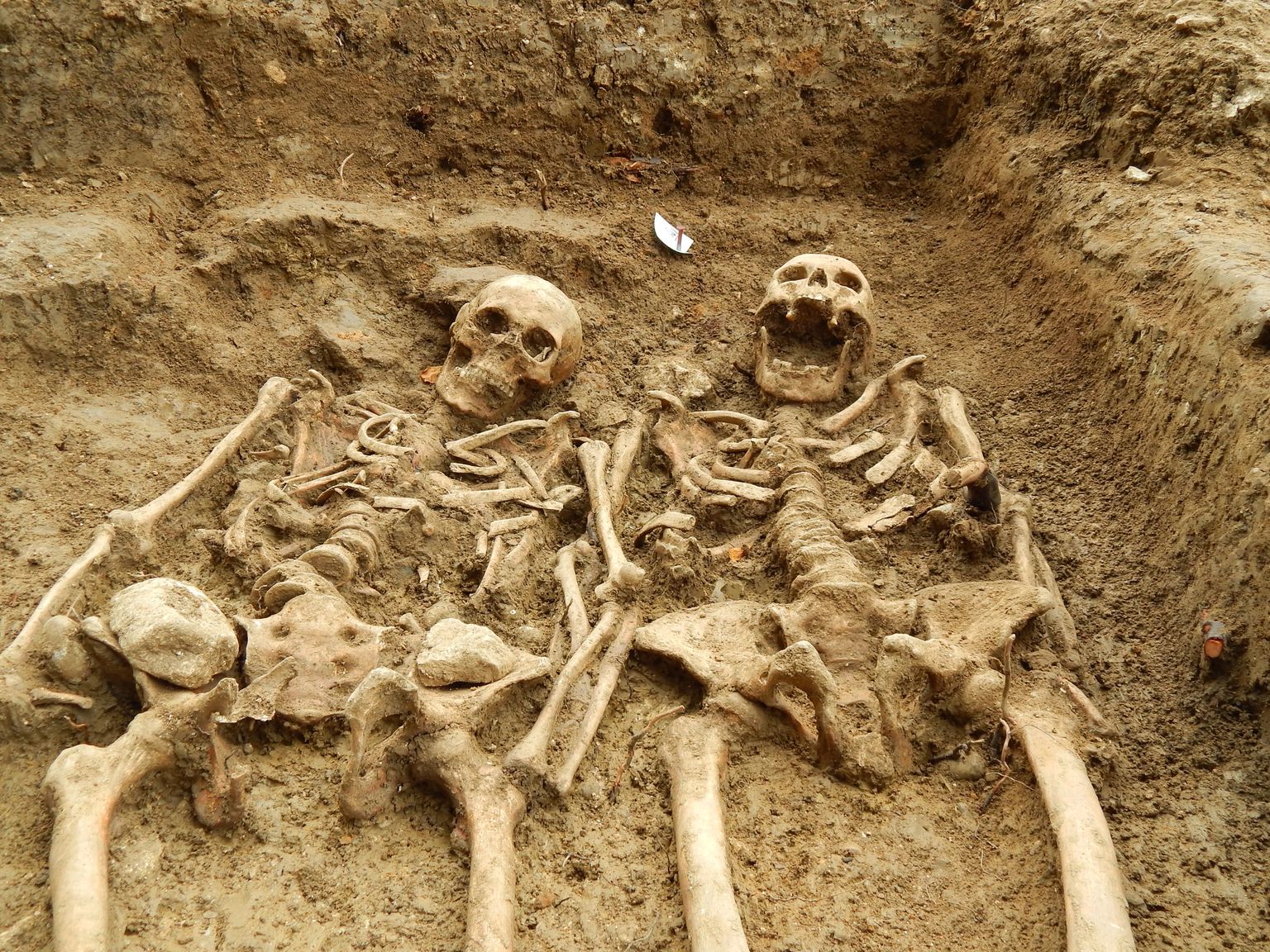 Briti arheoloogid leidsid 700 tagasi maetud käsikäes paari